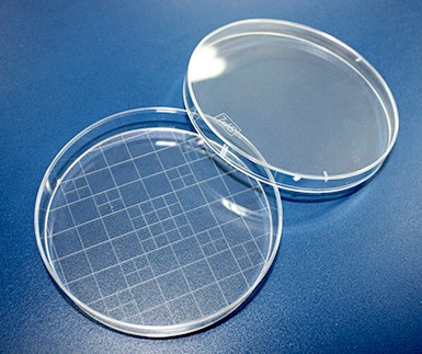 Gridded Petri Dish