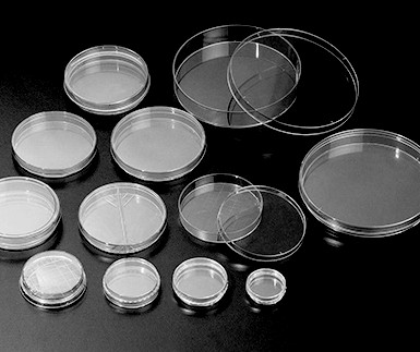 Petri Dish 규격별 제품